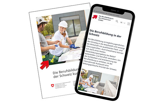 gehoer_zugang_berufsbildung_sbfi